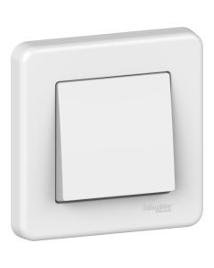 1P Switch white