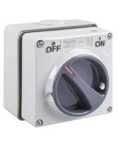 240V 10AX SP SW IP66